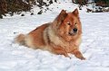 kschnee (20)